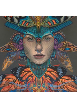 Metamorfosis ~ Postale